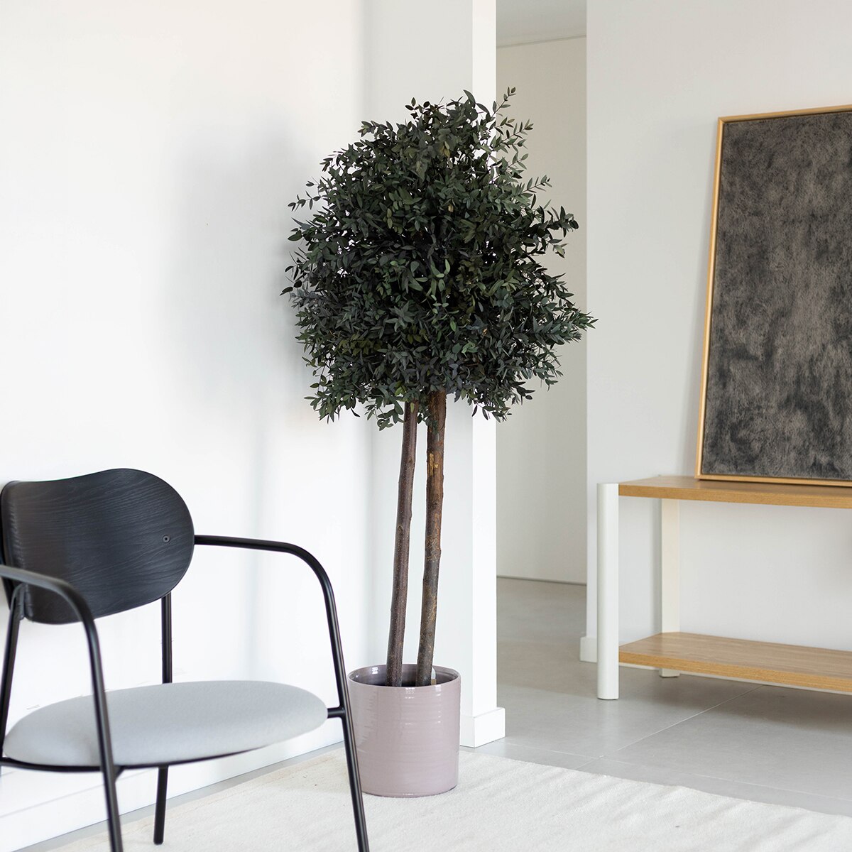 Parvifolia 150C 3