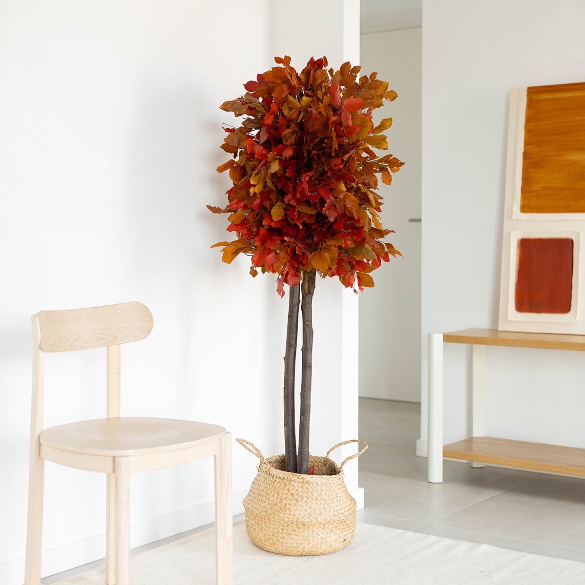 Fagus 150 cm 2