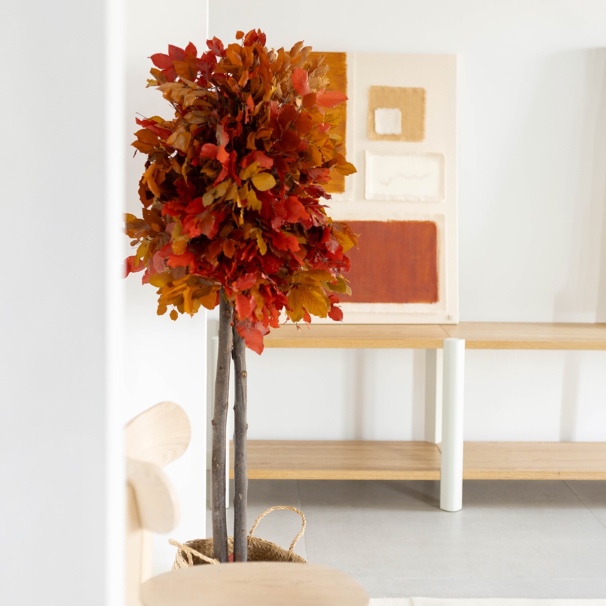 Fagus 150 cm 4