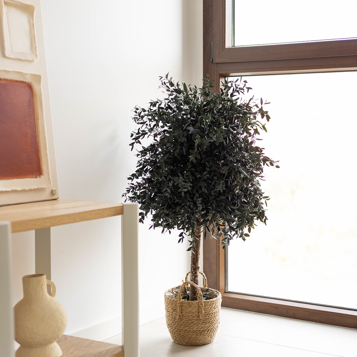 Áparvifolia 100 2