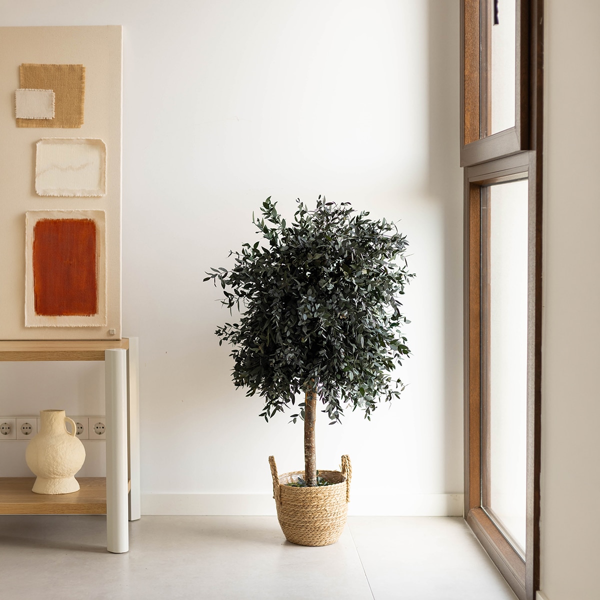 Áparvifolia 100 4