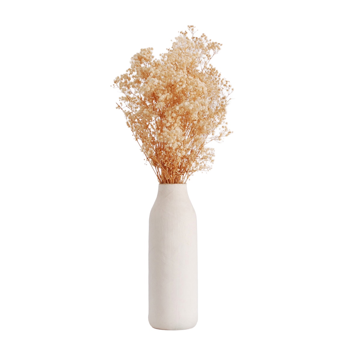 Imagen 0 de Paniculata Blan
