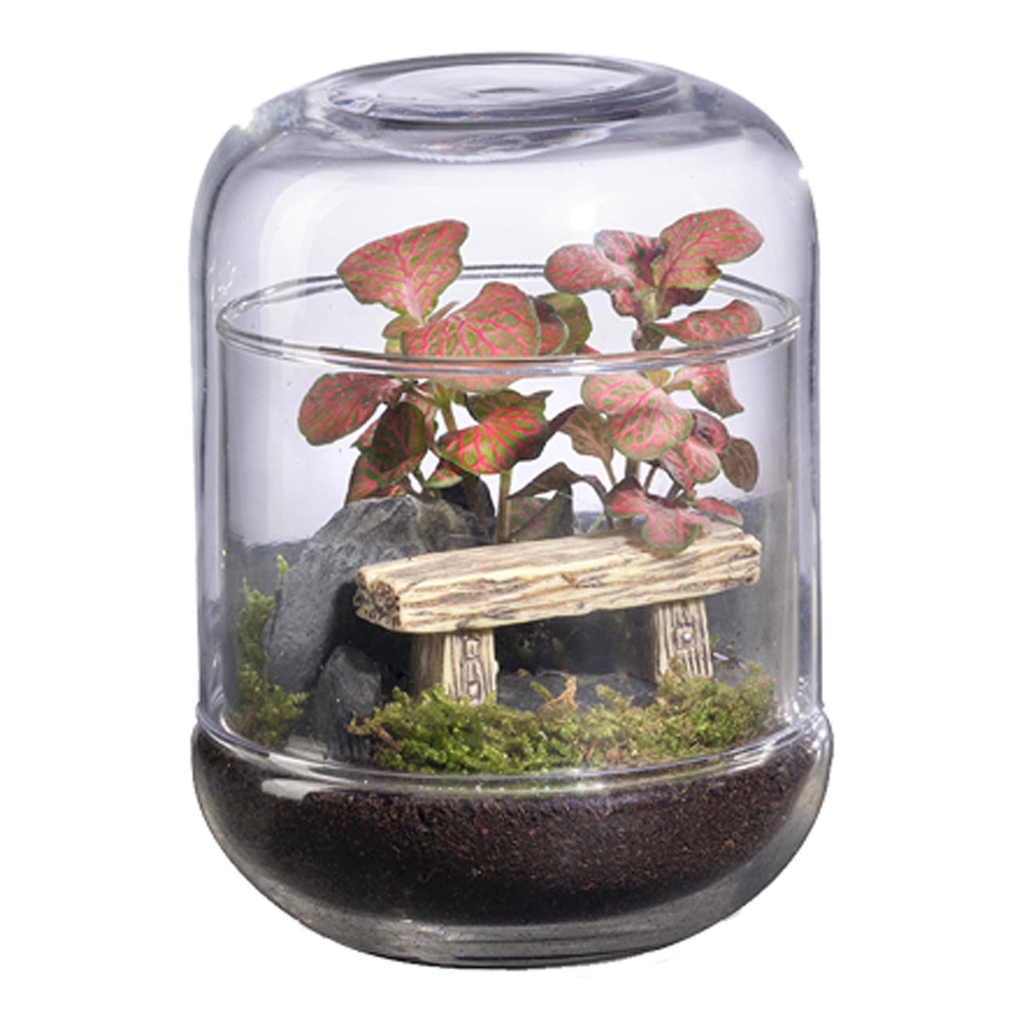 Imagem 0 de Terrário Capsule