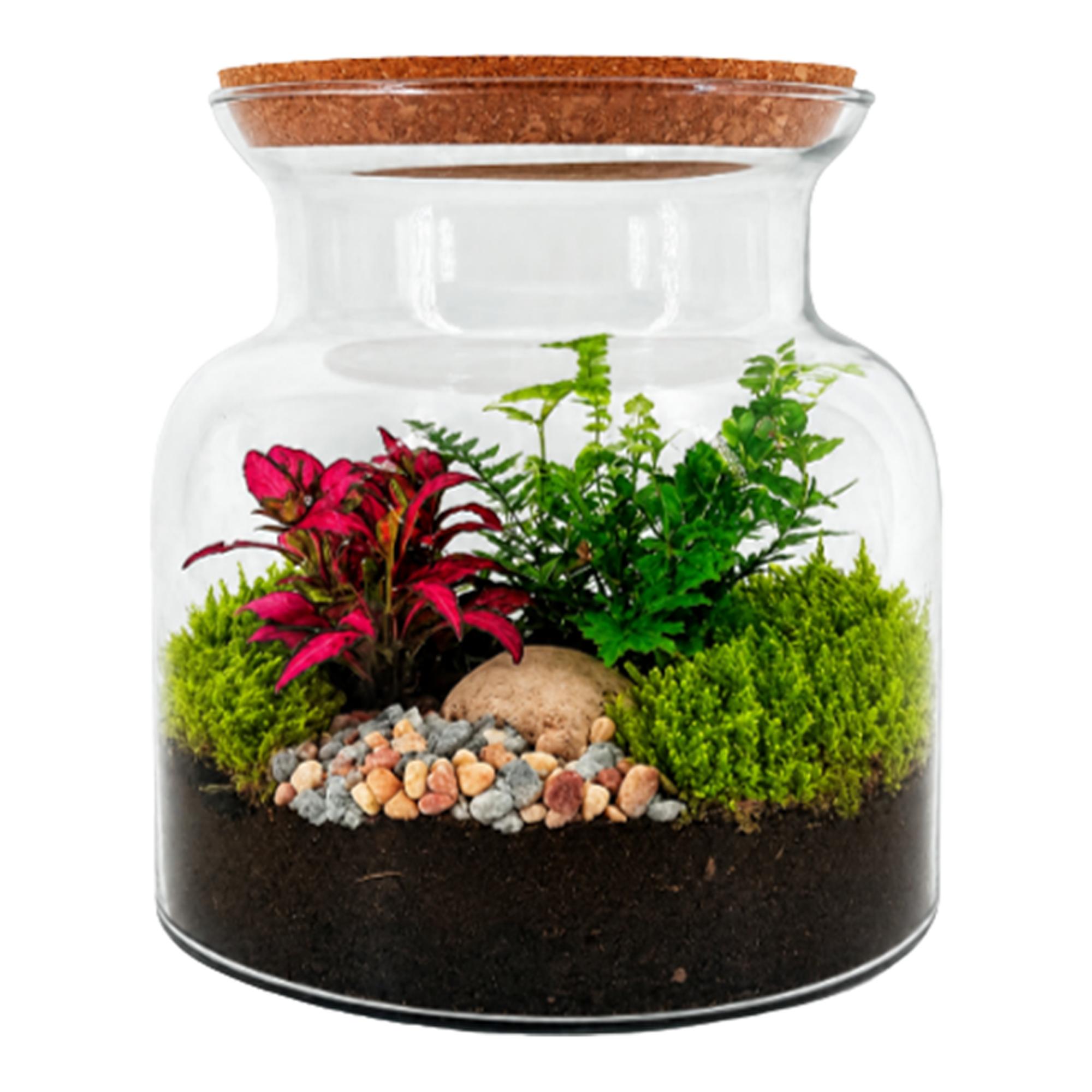 Imagen 0 de Terrario Jungle S Origin con led