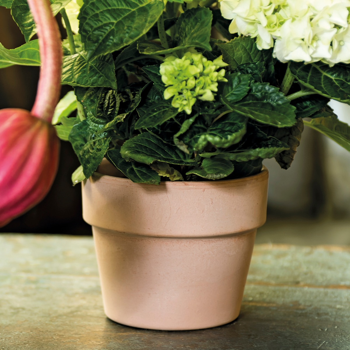Macetero Perfetto 15 cm. Capacidad 1,4L. Deroma Terracota-3
