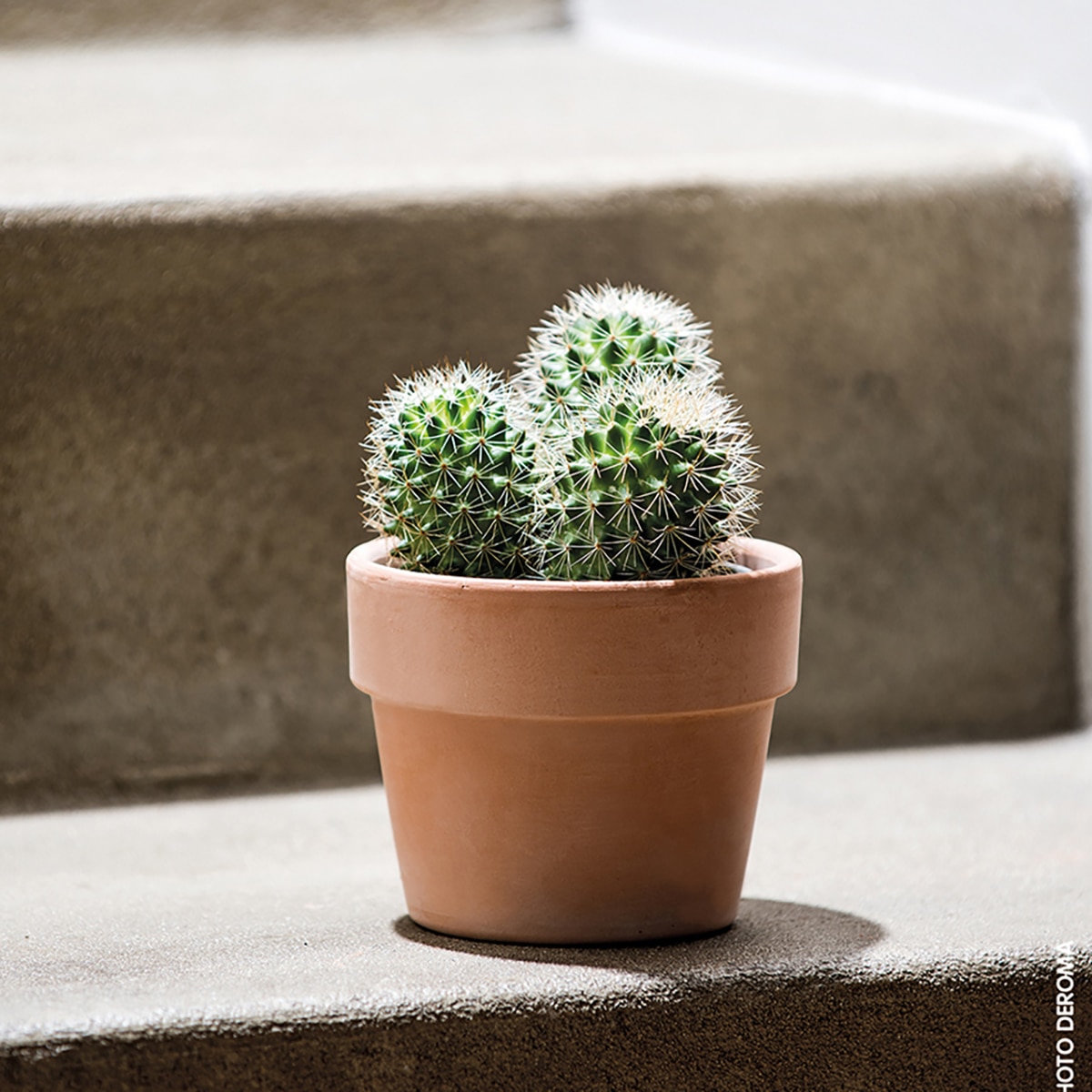 Macetero Perfetto 15 cm. Capacidad 1,4L. Deroma Terracota-6