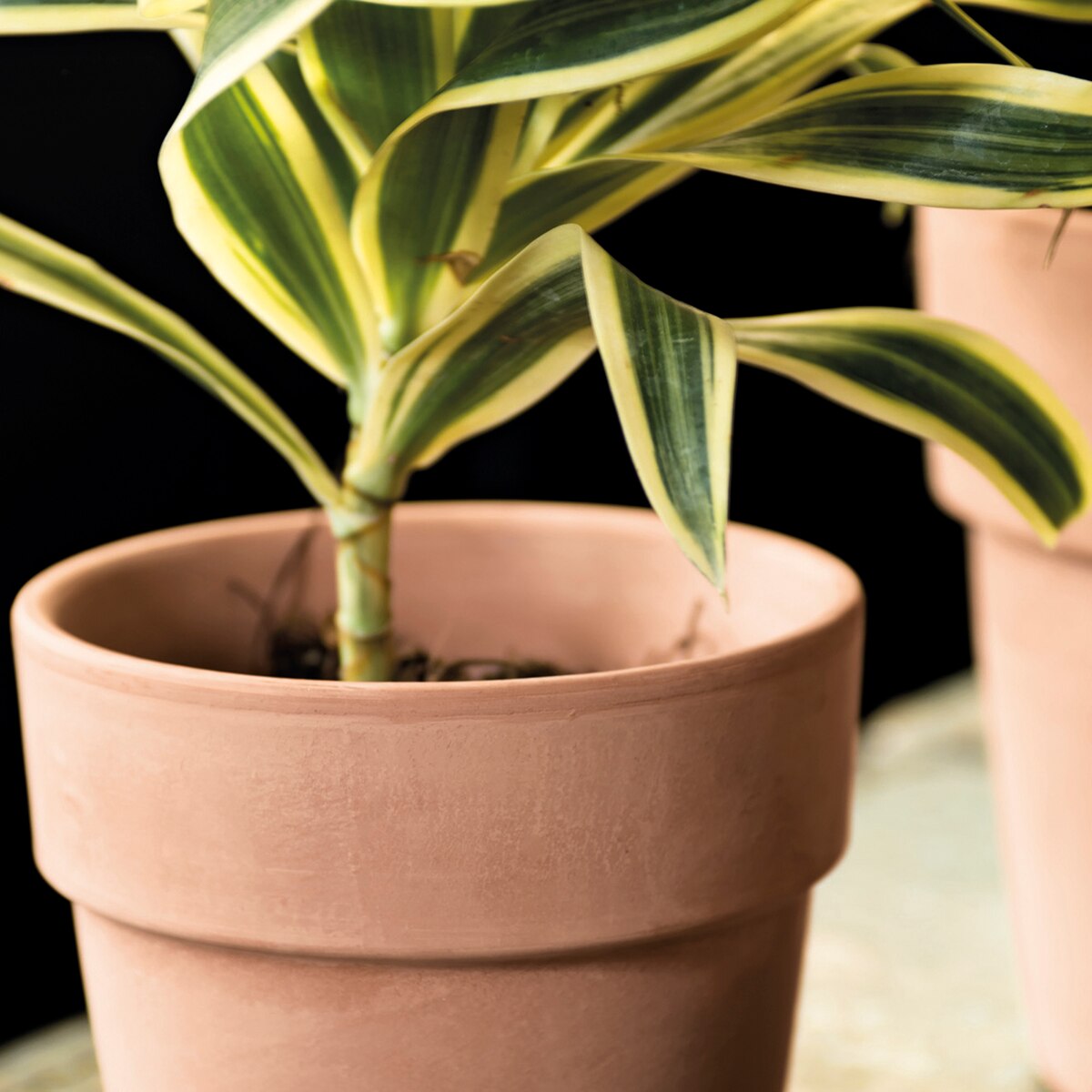 Macetero Perfetto 20 cm. Capacidad 3,4L. Deroma Terracota-4