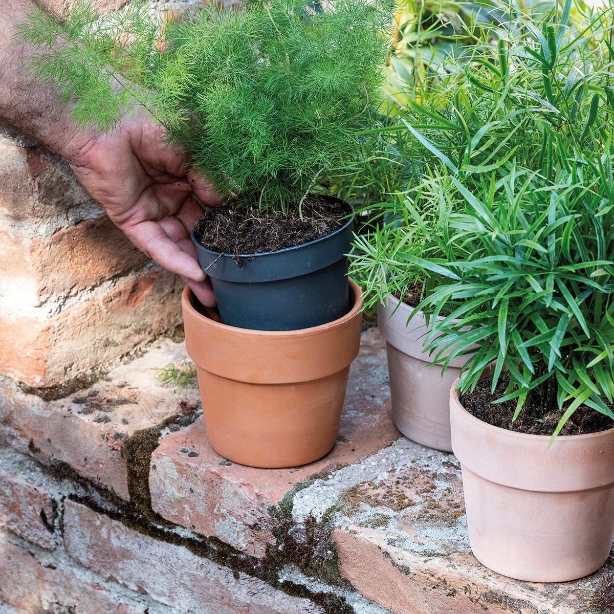 Macetero Perfetto 20 cm. Capacidad 3,4L. Deroma Terracota-7