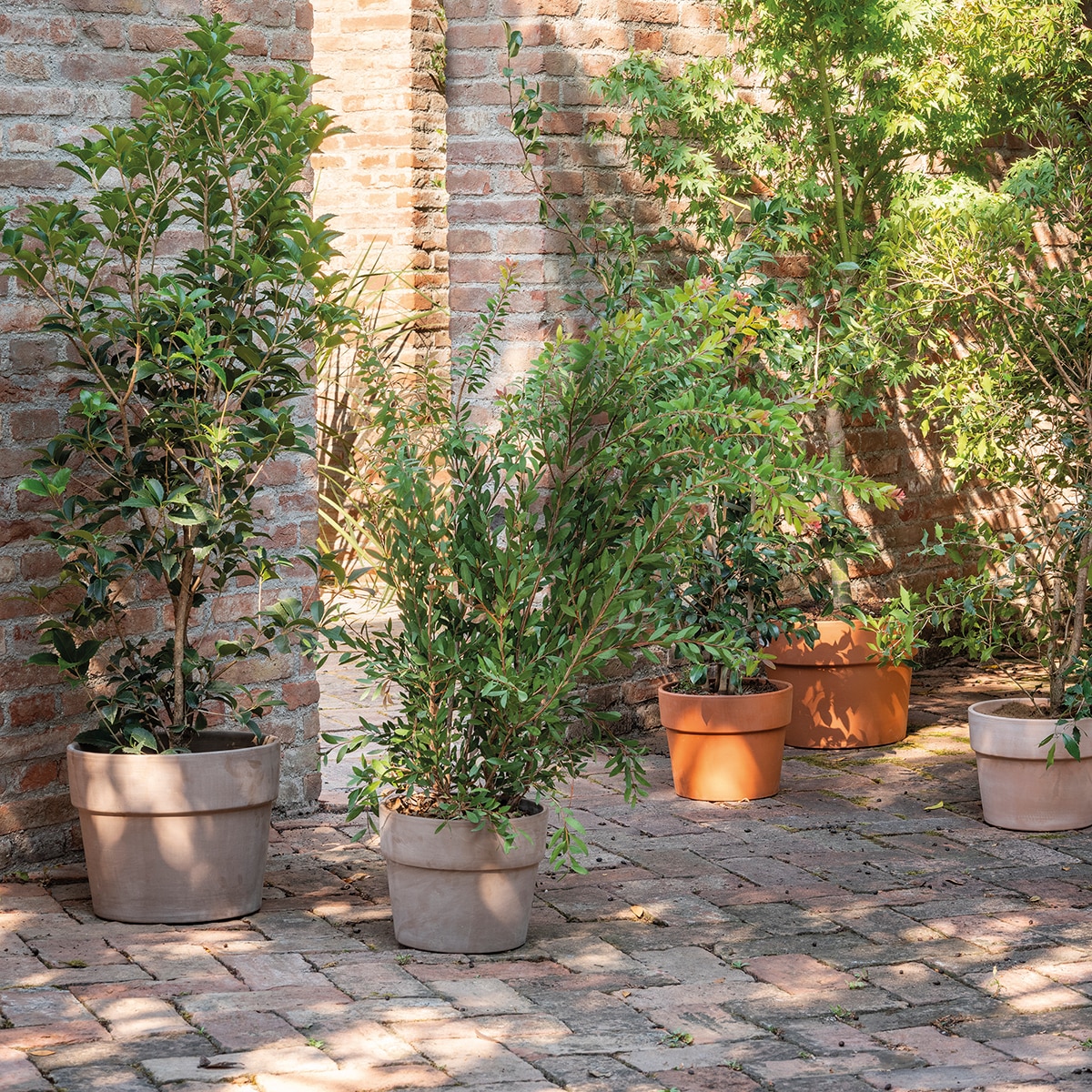 Macetero Perfetto 24 cm. Capacidad 6L. Deroma Terracota-3
