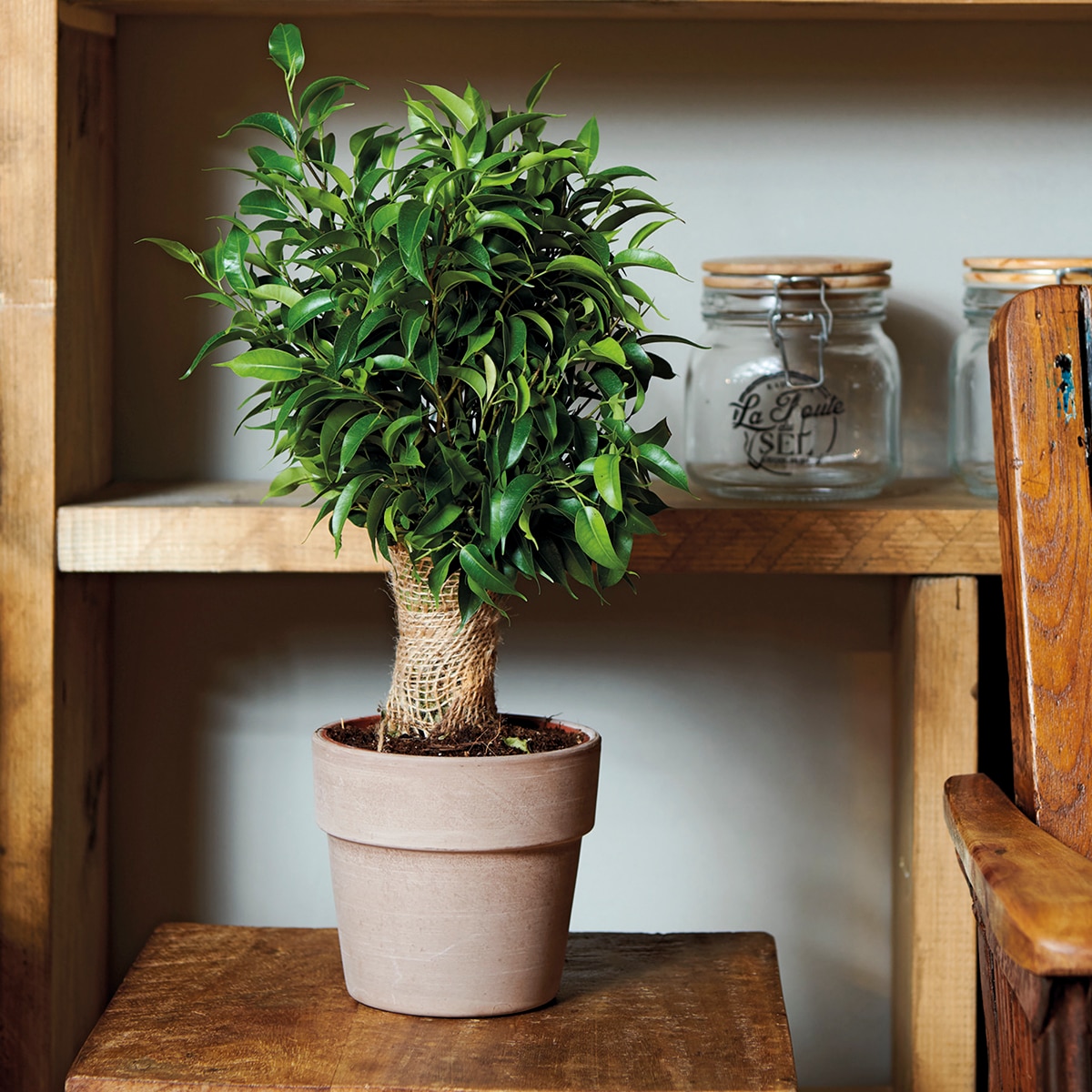 Vaso Perfetto 20 cm. Capacidade 3,4L. Deroma Terracota-2