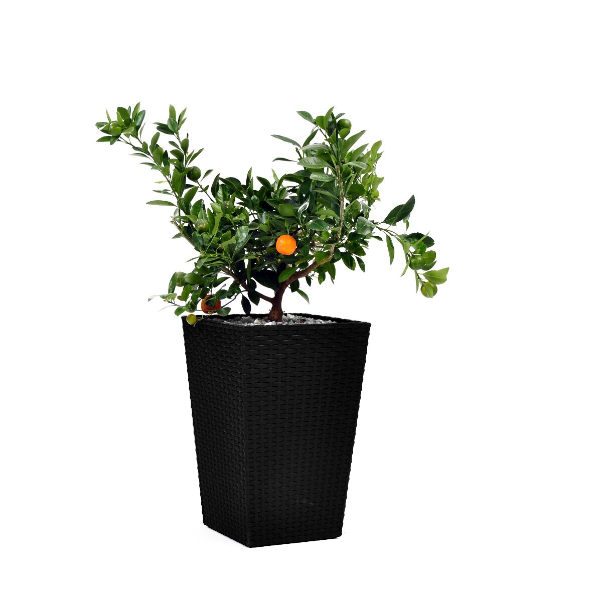 Maceta Rattán Style Planter Keter Antracita-1
