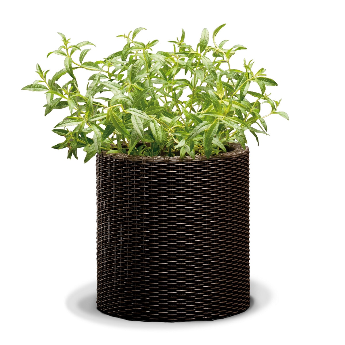 Imagen 0 de Maceta de material plástico y resina Planter Diametro 28 cm