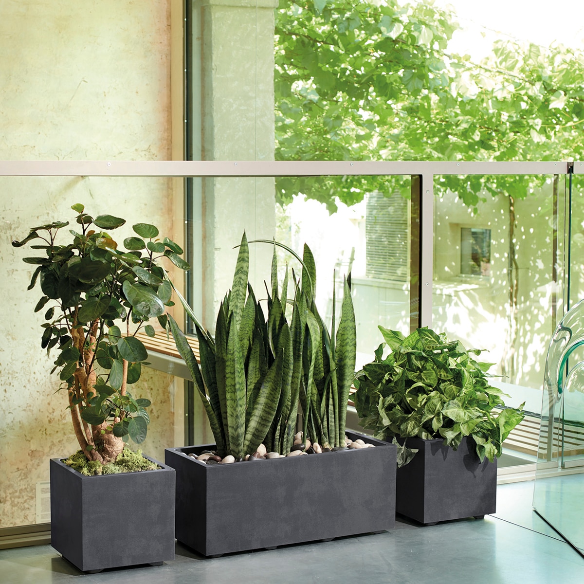 Caixa para Plantas Millennium R 59 cm. Antracite. Capacidade 26 L. Deroma Antracite-2