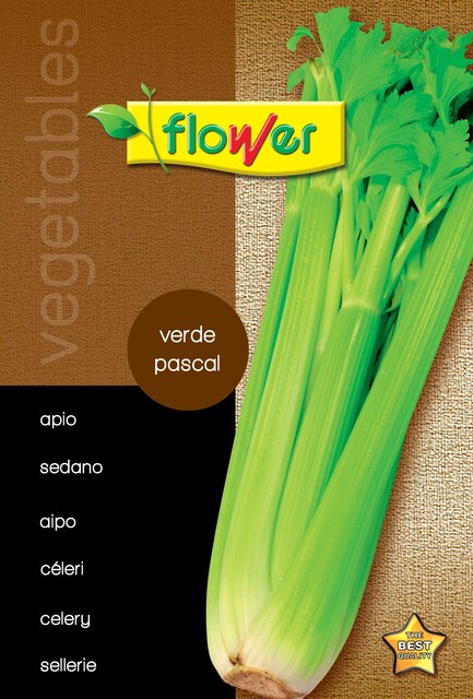 Imagen 0 de Sobre semillas apio