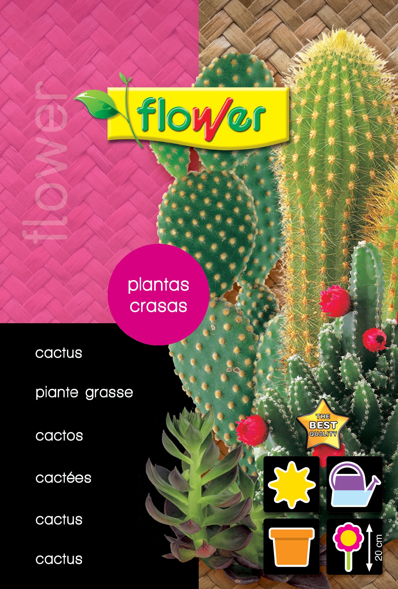 Imagen 0 de Sobre semillas mix cactus y plantas crasas