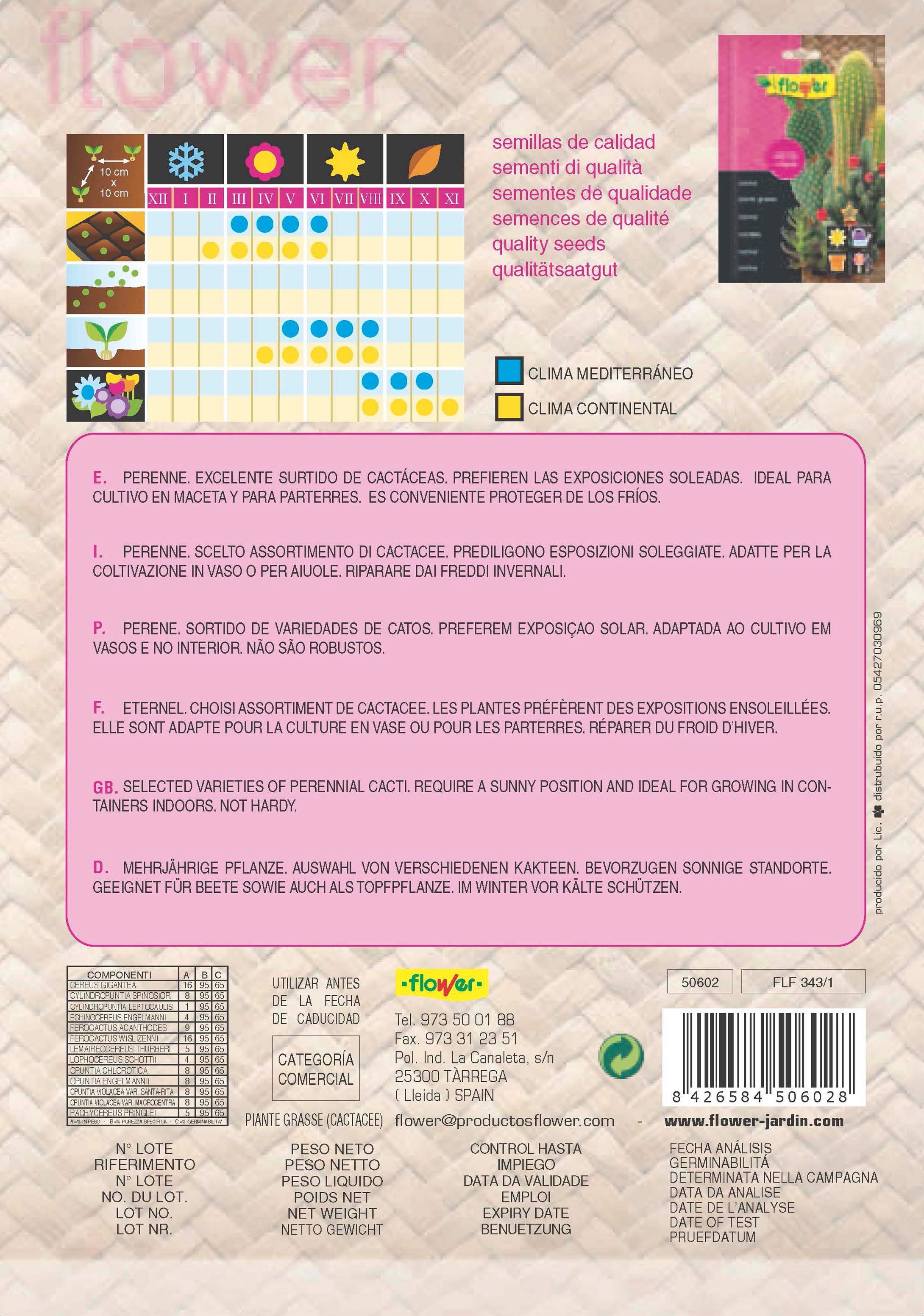 Sobre semillas mix cactus y plantas crasas 2