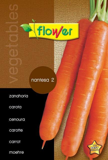 Imagen 0 de Sobre semillas zanahoria