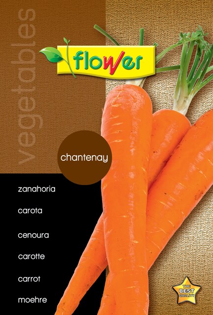 Sobre semillas zanahoria