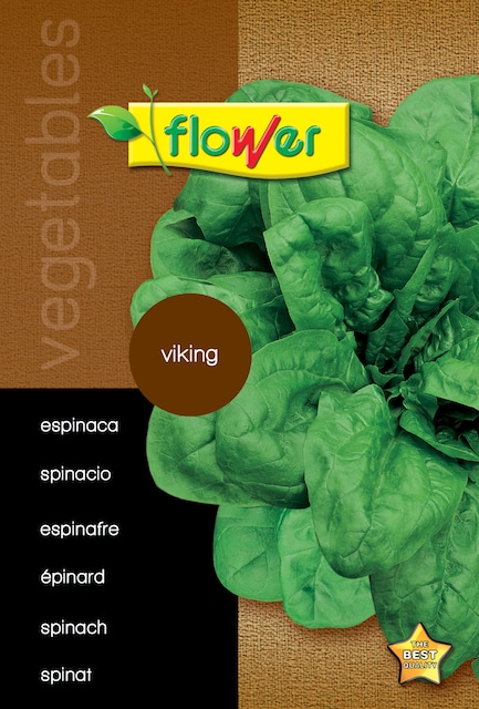 Imagen 0 de Sobre semillas espinaca