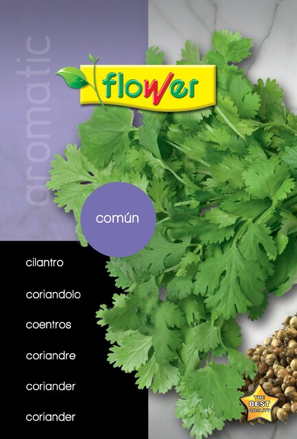 Imagem 0 de Saqueta de Sementes de Coentro