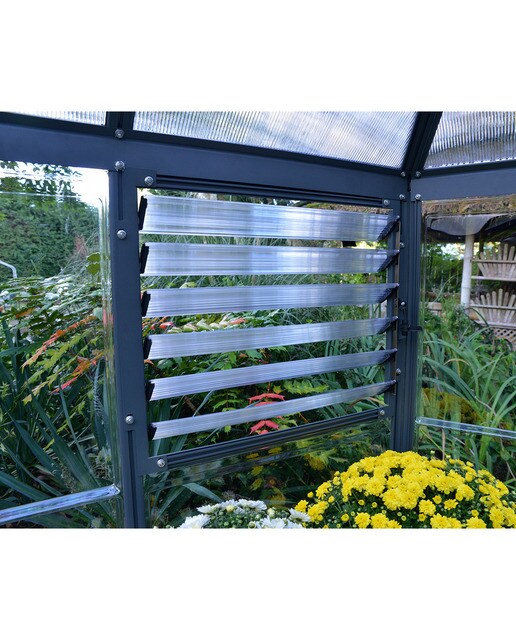 Invernadero de Policarbonato Hexagonal Oasis 245 x 212 cm Gris oscuro-5