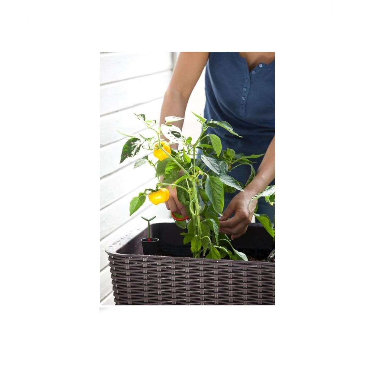 Huerto Urbano Elevado Easy Grow 114x49,3x75,7 cm y 120L Marrón-5