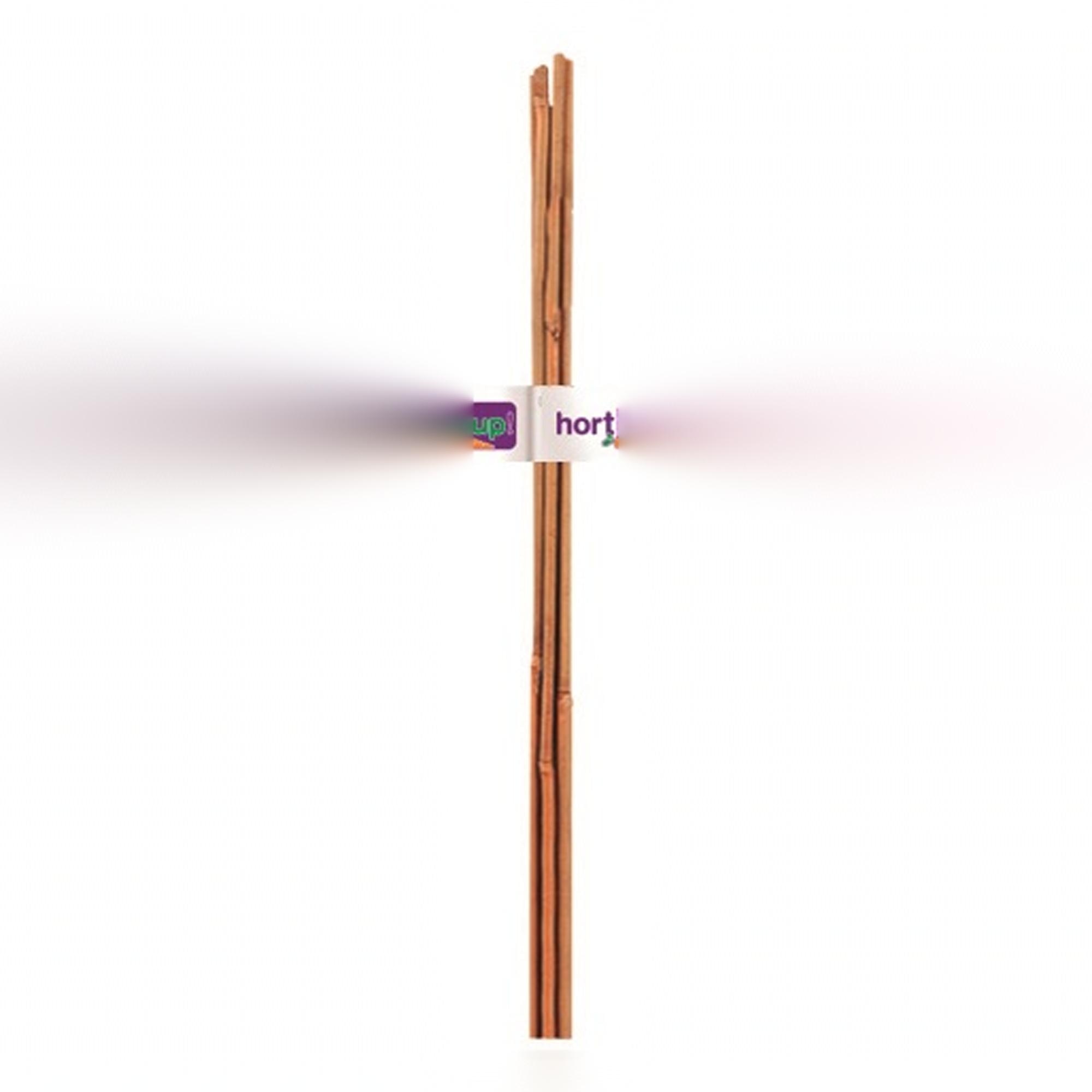 Imagen 0 de Tutor Bambú Flower de 8-10 mm,  0,90 m,  4U