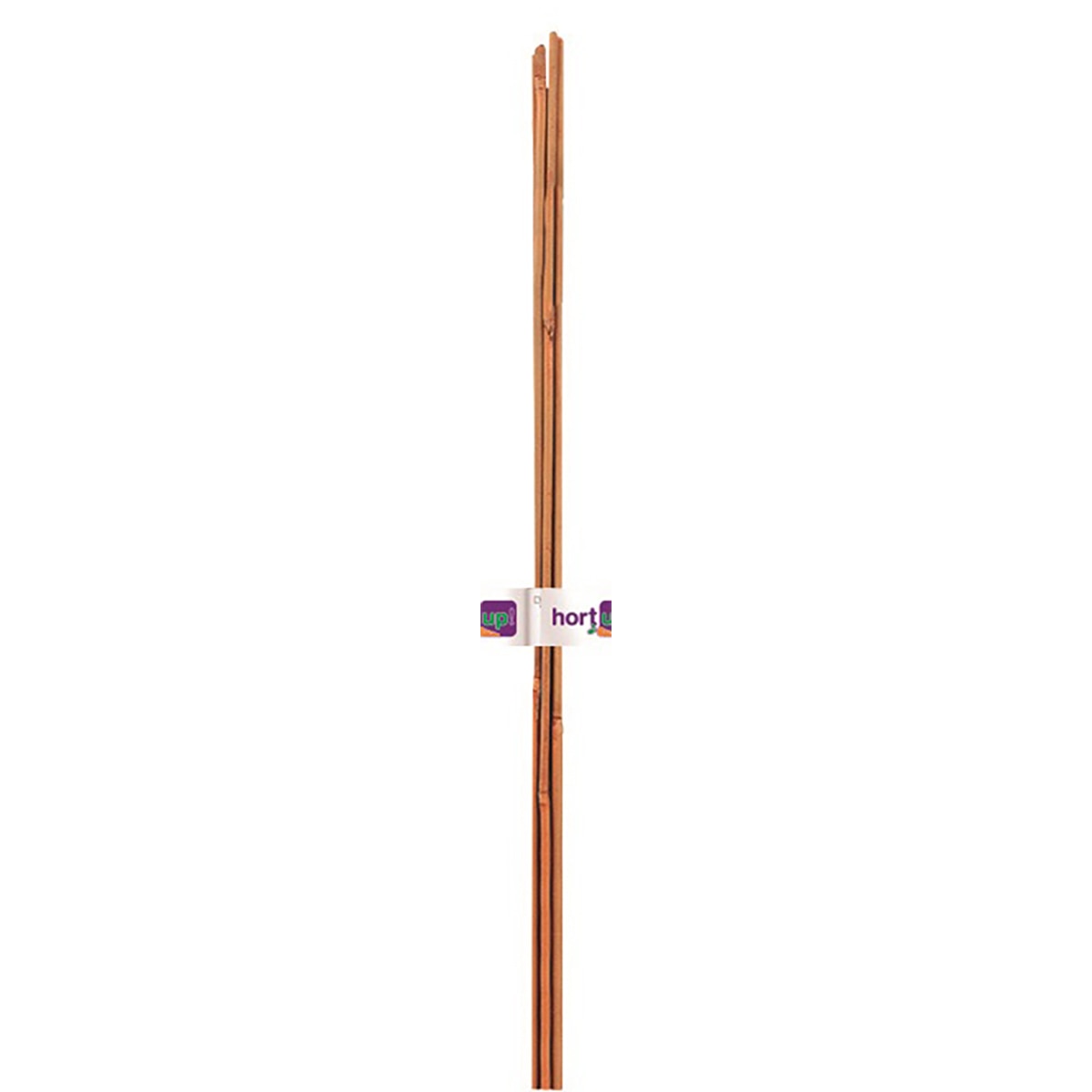 Imagen 0 de Tutor Bambú Flower de 12-14 mm, 1,80 m, 1U