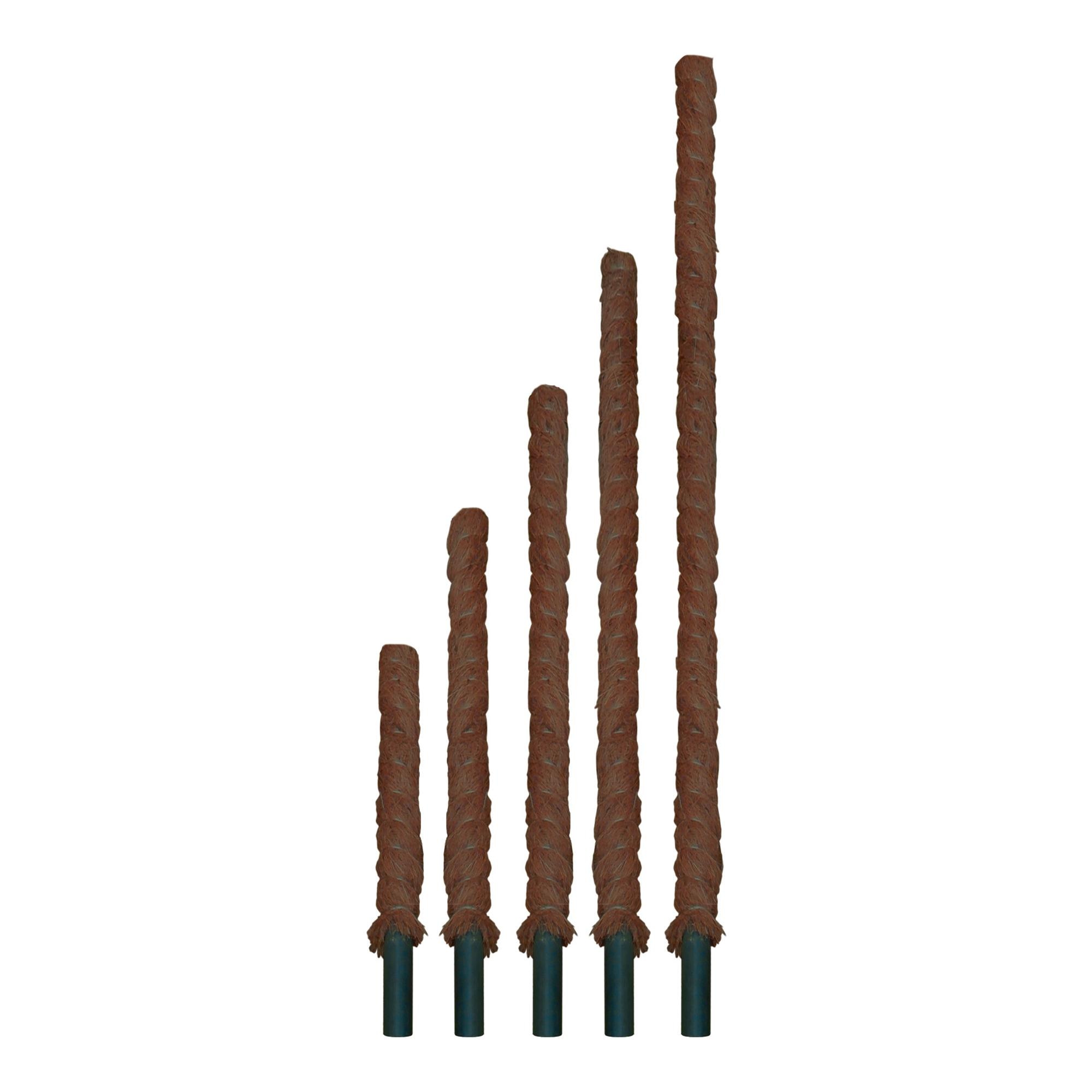 Imagen 0 de Tutor fibra de coco Flower de 120 cm