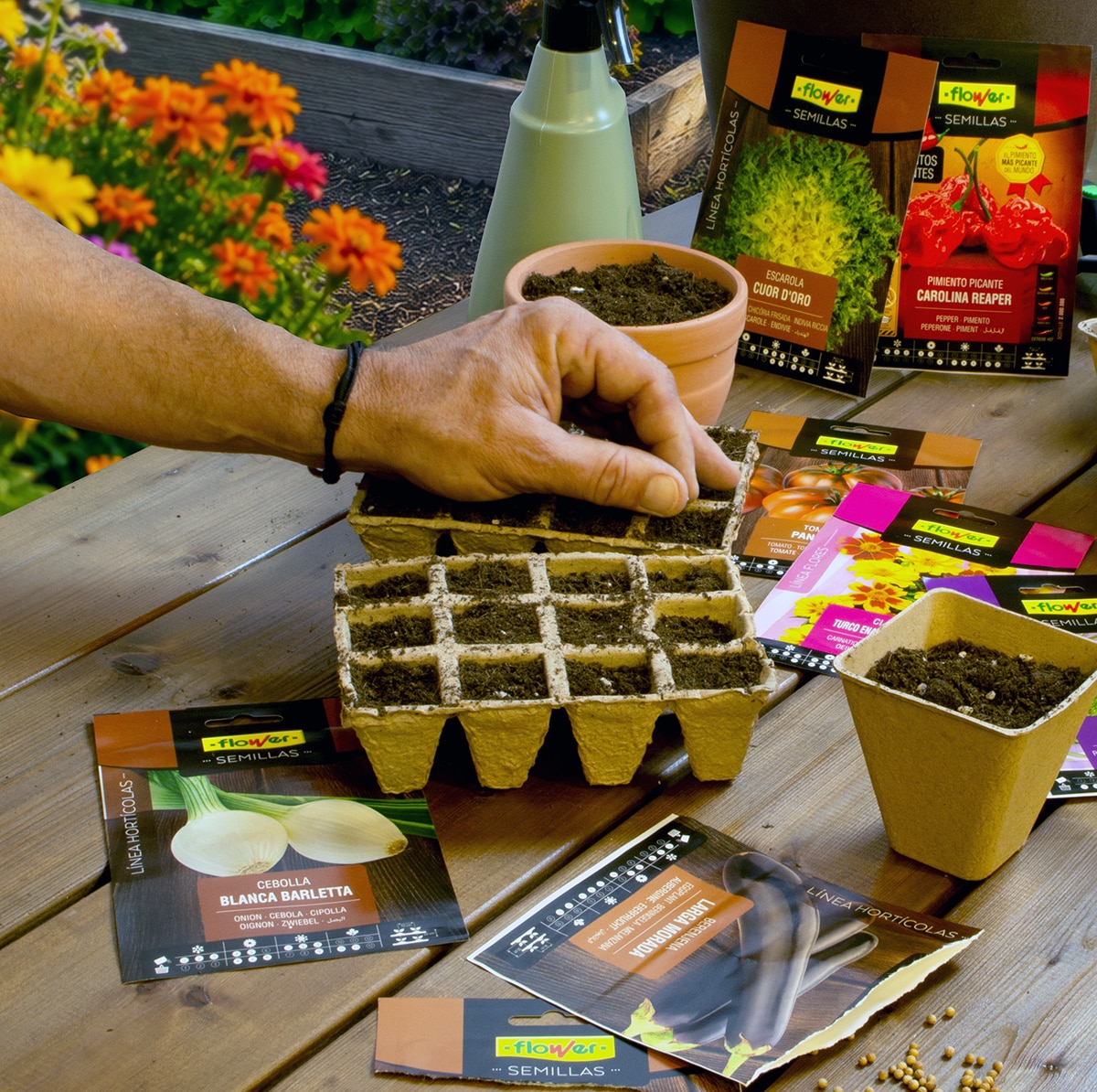 Semilleros Flower de 12 alveolos P-6 2