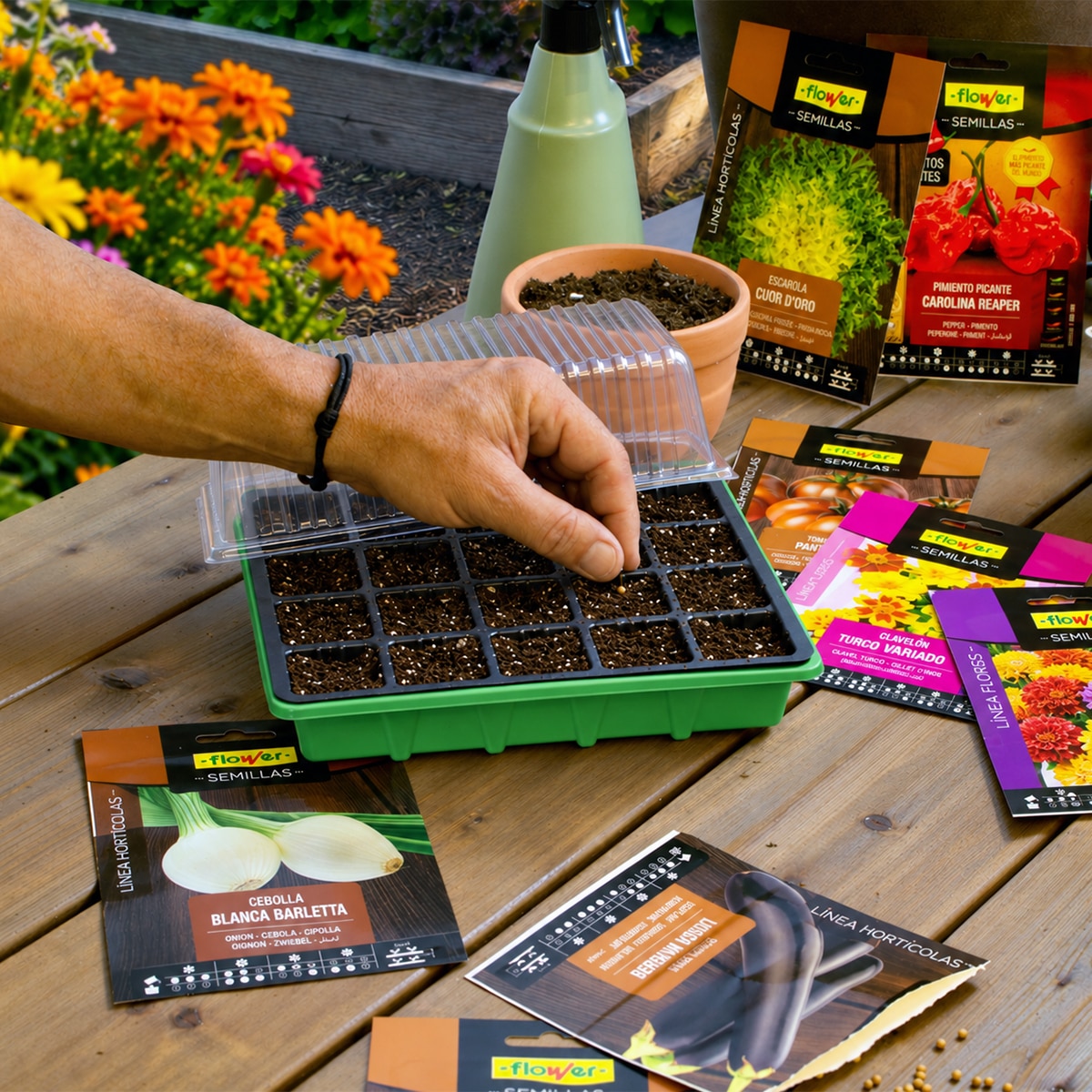 Semilleros Flower 24 Pack 3 2