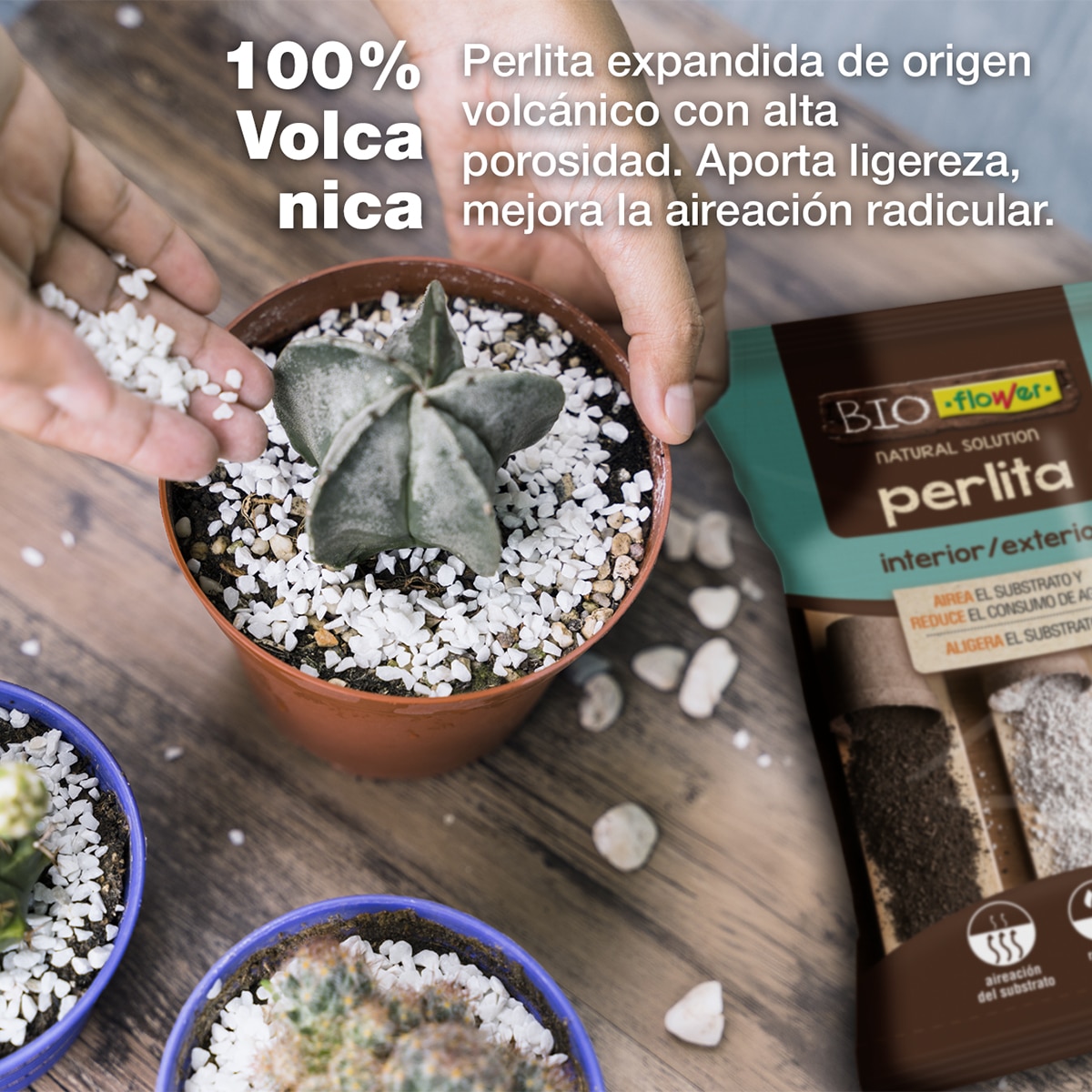 Perlita - 5 L 4