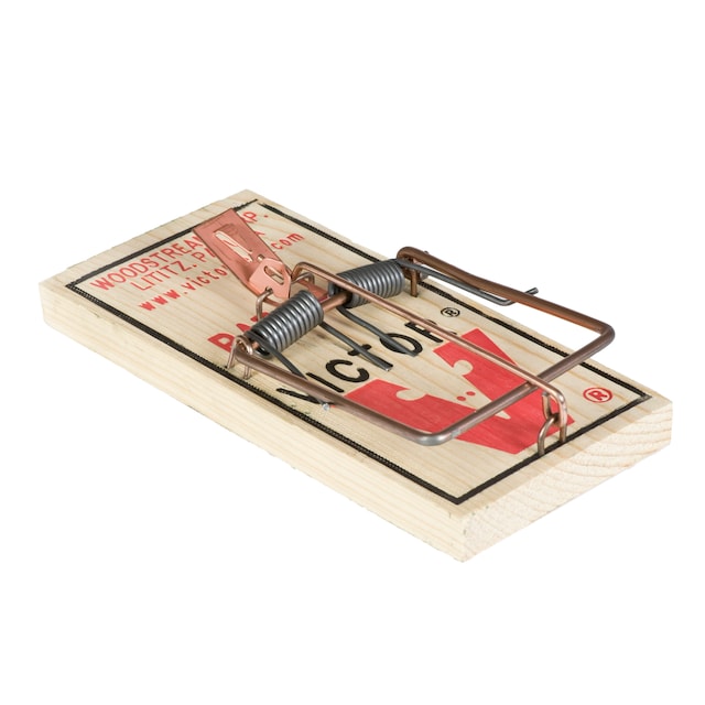 Imagen 0 de Trampa ratas