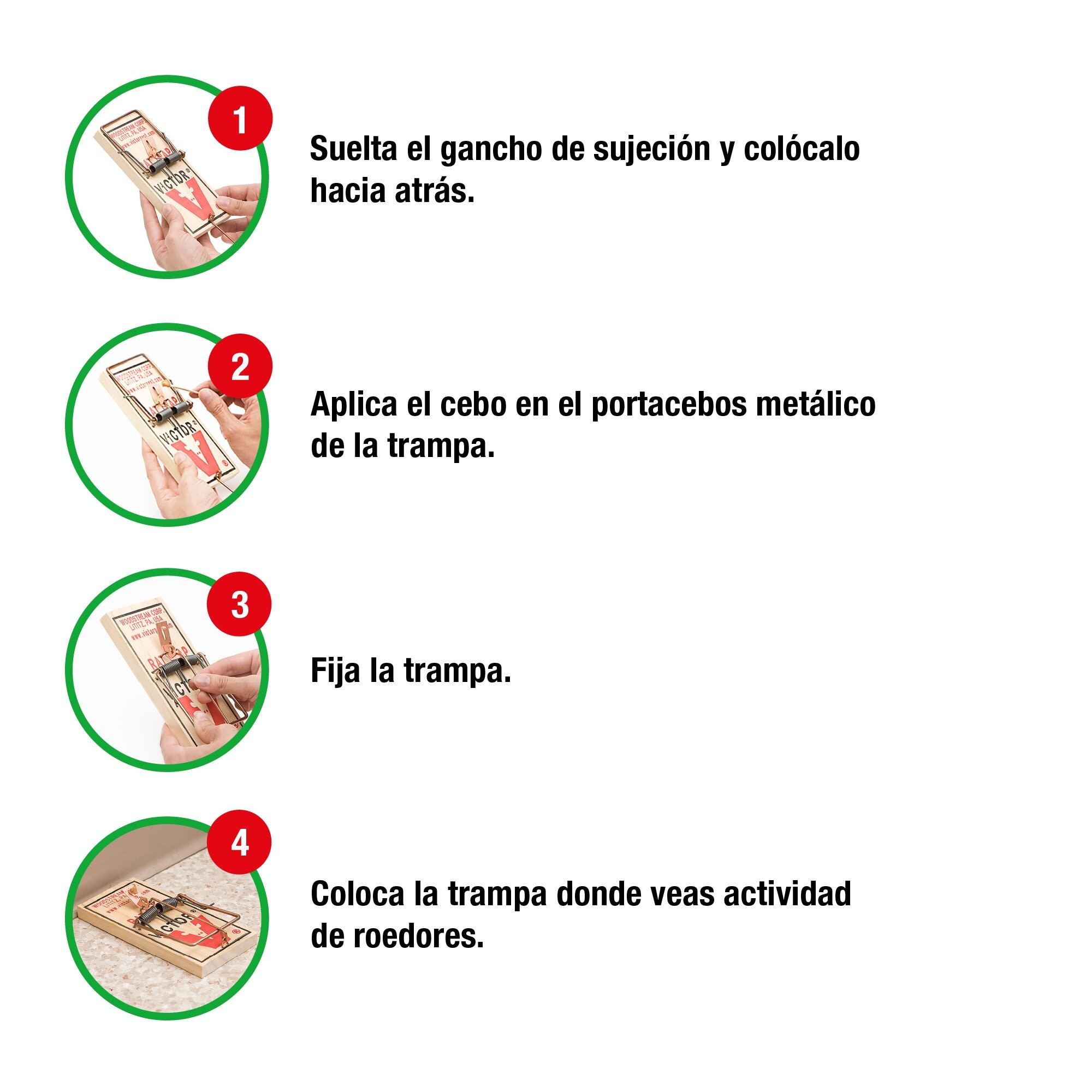 Trampa ratas 4
