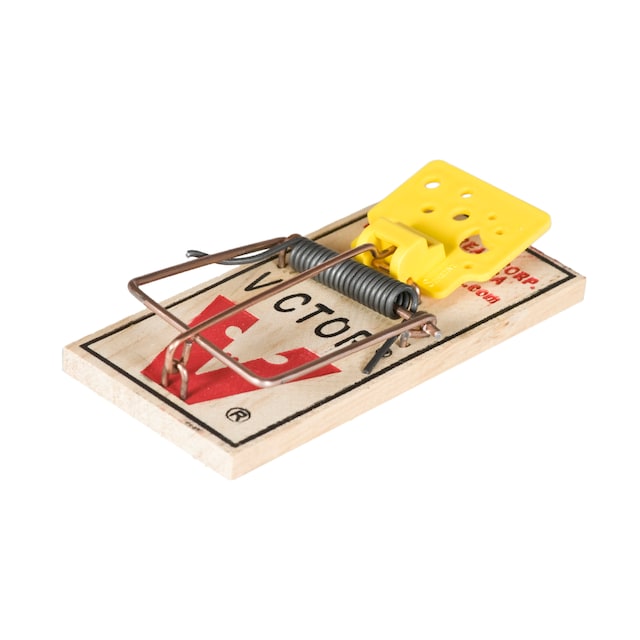 Imagen 0 de Trampa ratones