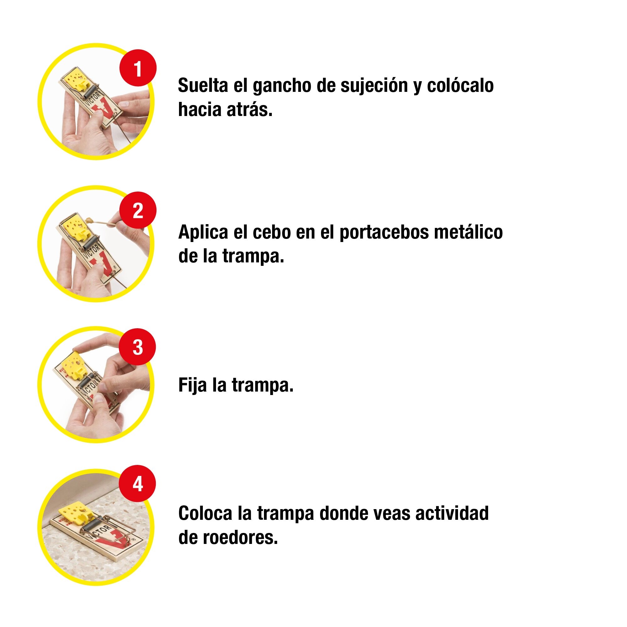 Trampa ratones 4