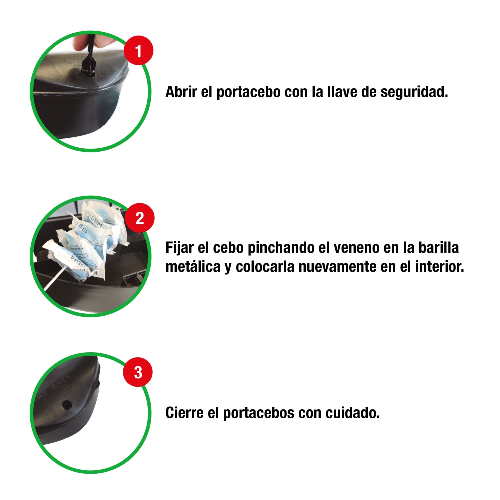 Portacebos ratas 2