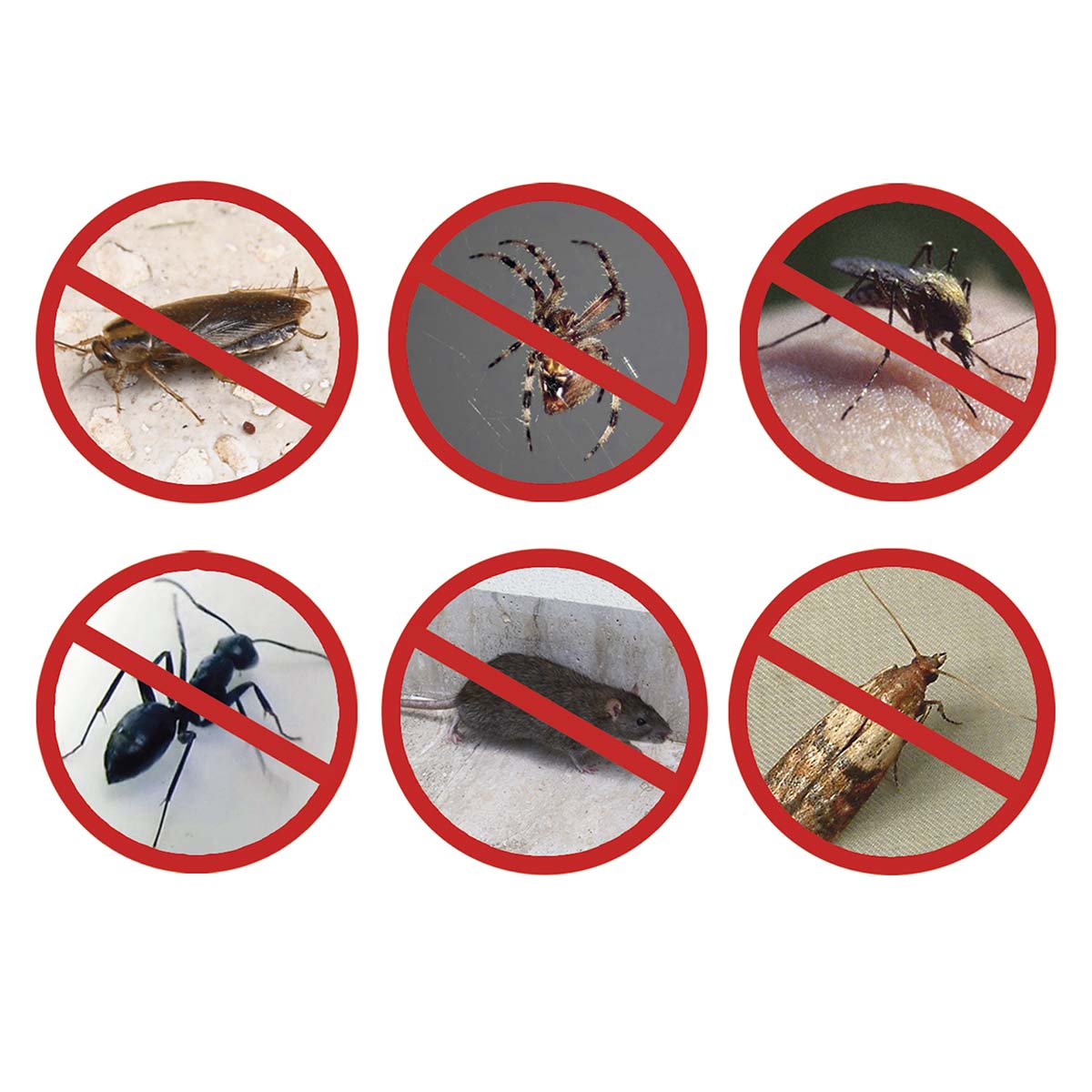 Repelente insectos y roedores PEST REJECT MAX Gris-5