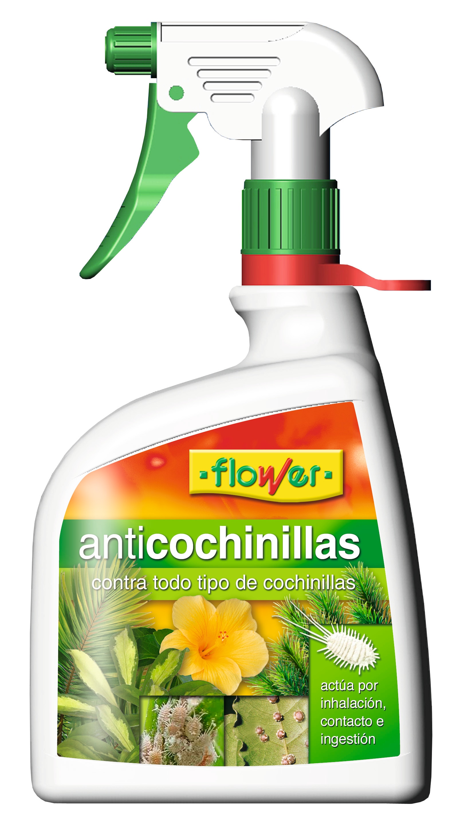 Insecticida anticochinillas 1