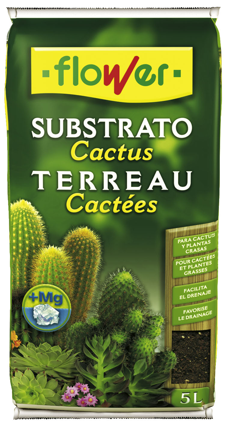 Substrato cactus Surtido-1