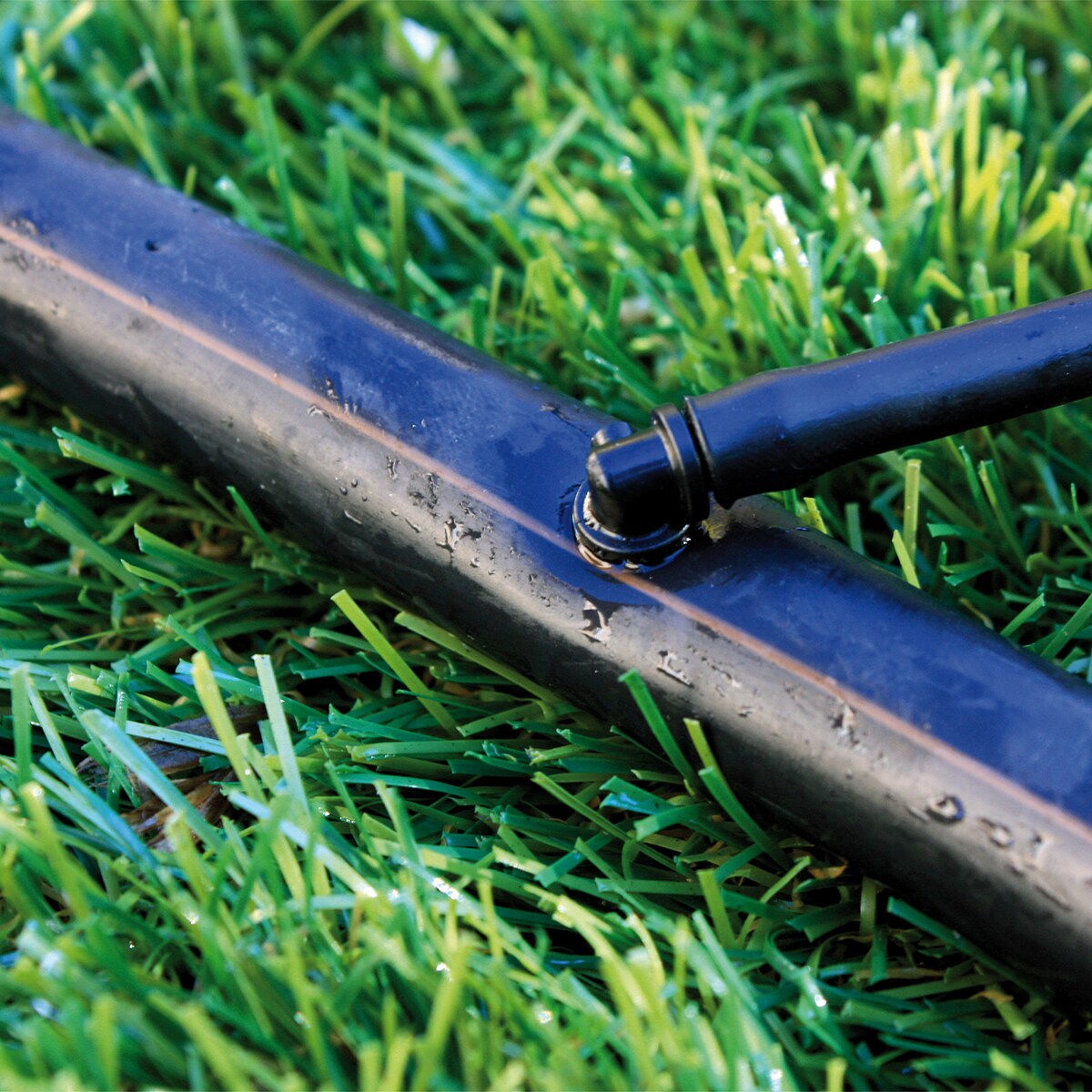 Curva de Microtubo (x10) - 4 mm 4