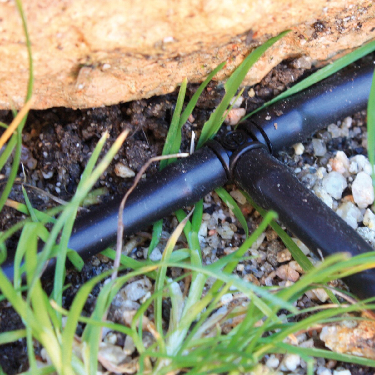 Curva de Microtubo (x10) - 4 mm 5