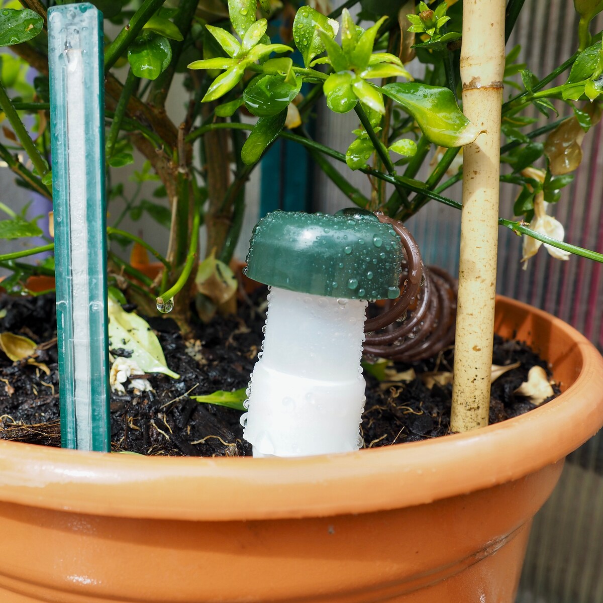 Cono cerámico de riego (3+2) 4