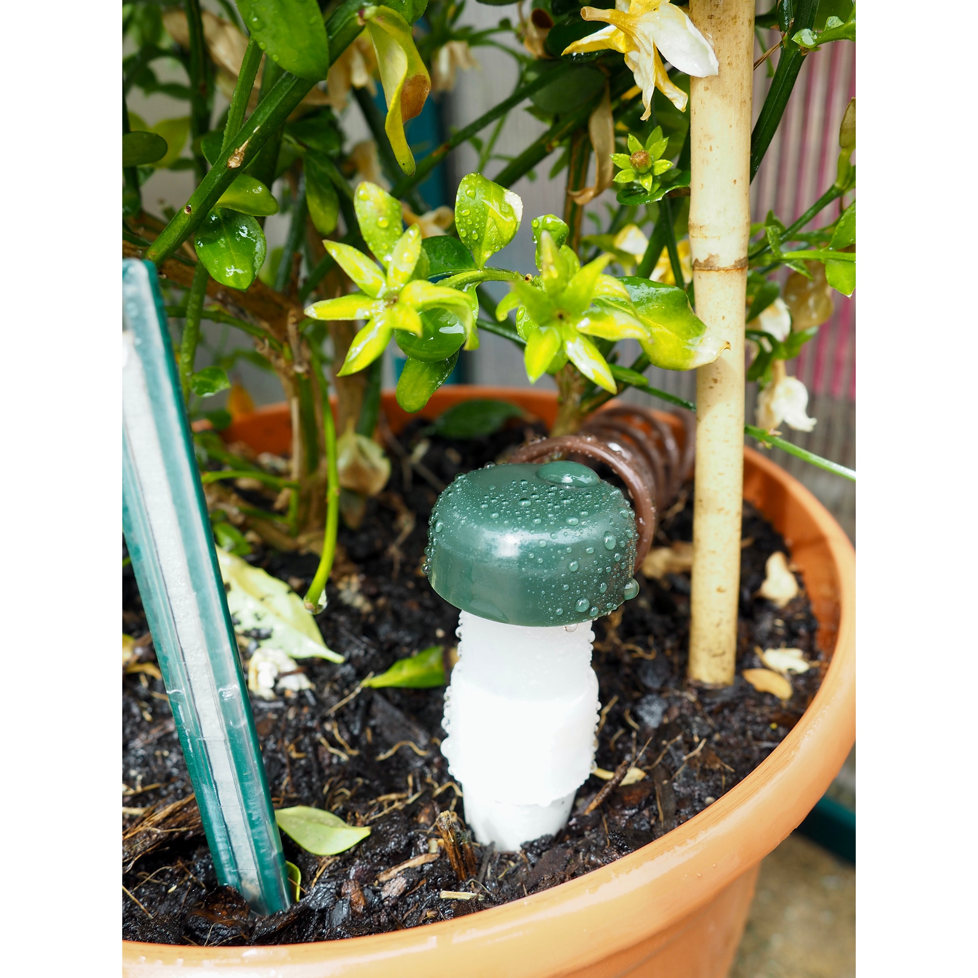 Cono cerámico de riego (3+2) 5
