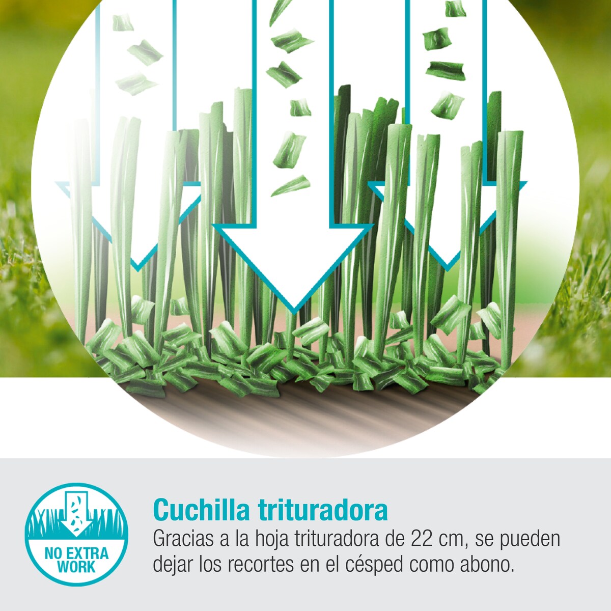 Cortacésped a batería jardines pequeños 22/18 V HandyMower Power for All Gris / Azul-7