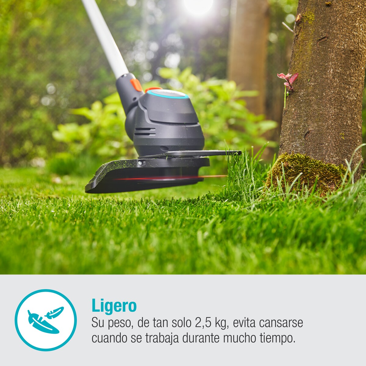 Cortabordes Batería ComfortCut 23/18V Power for All Gris / Azul-3