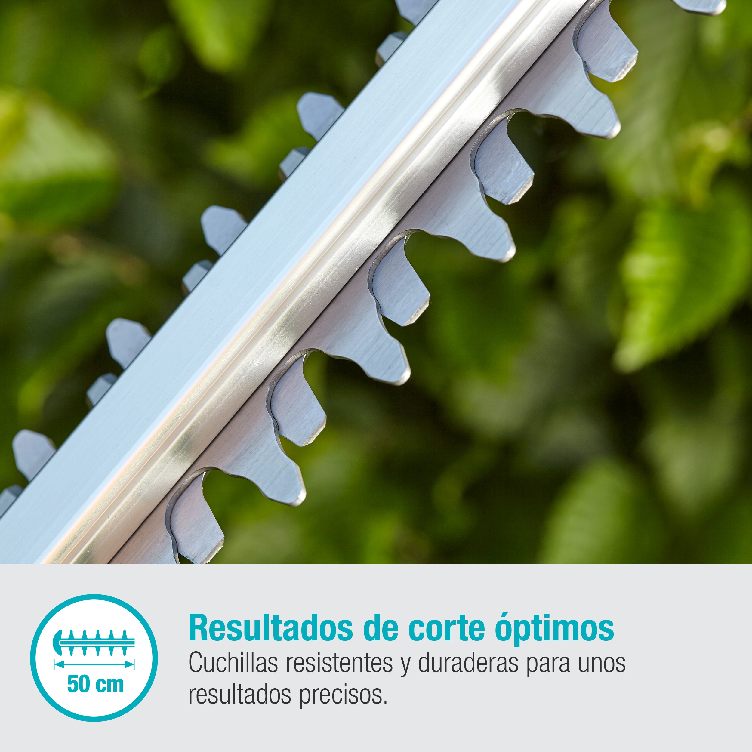 Cortasetos a batería ComfortCut 50/18V Power for All Gris / Azul-3