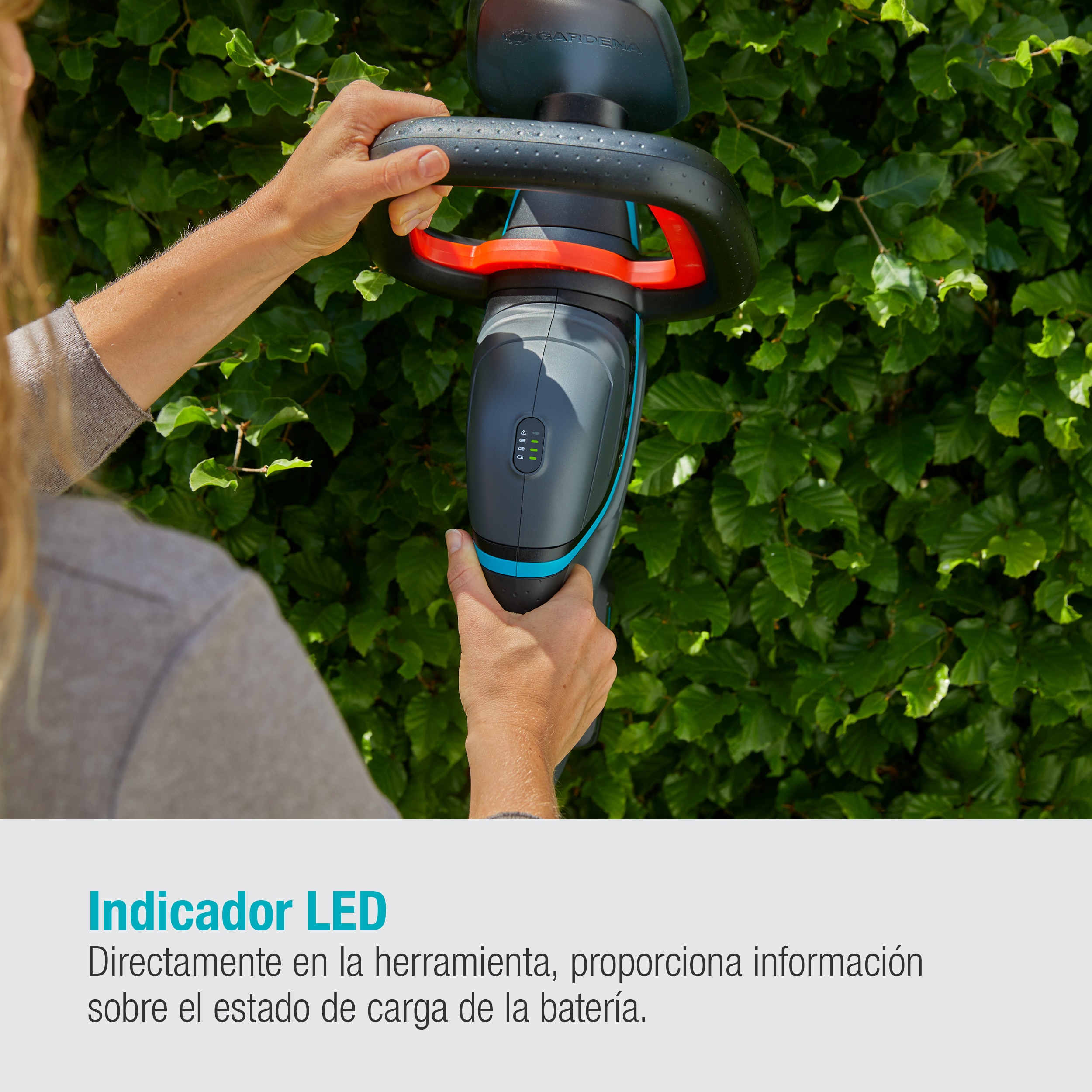 Cortasetos a batería ComfortCut 50/18V Power for All Gris / Azul-5