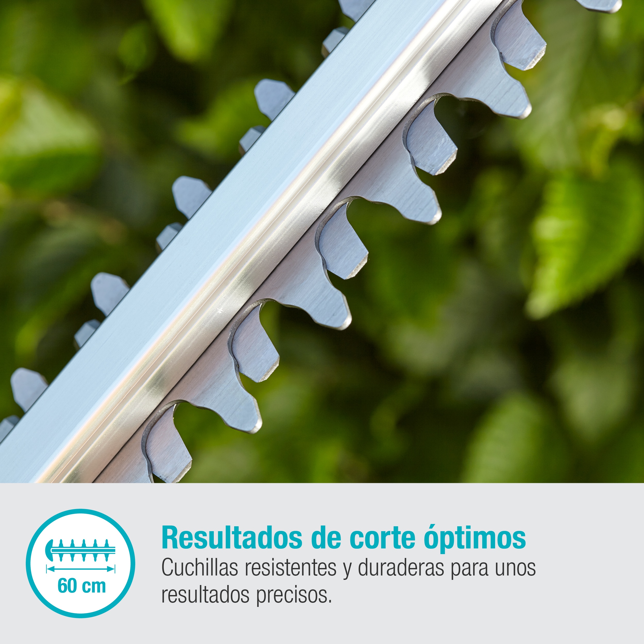 Cortasetos a batería ComfortCut 60/18V Power for All Gris / Azul-6