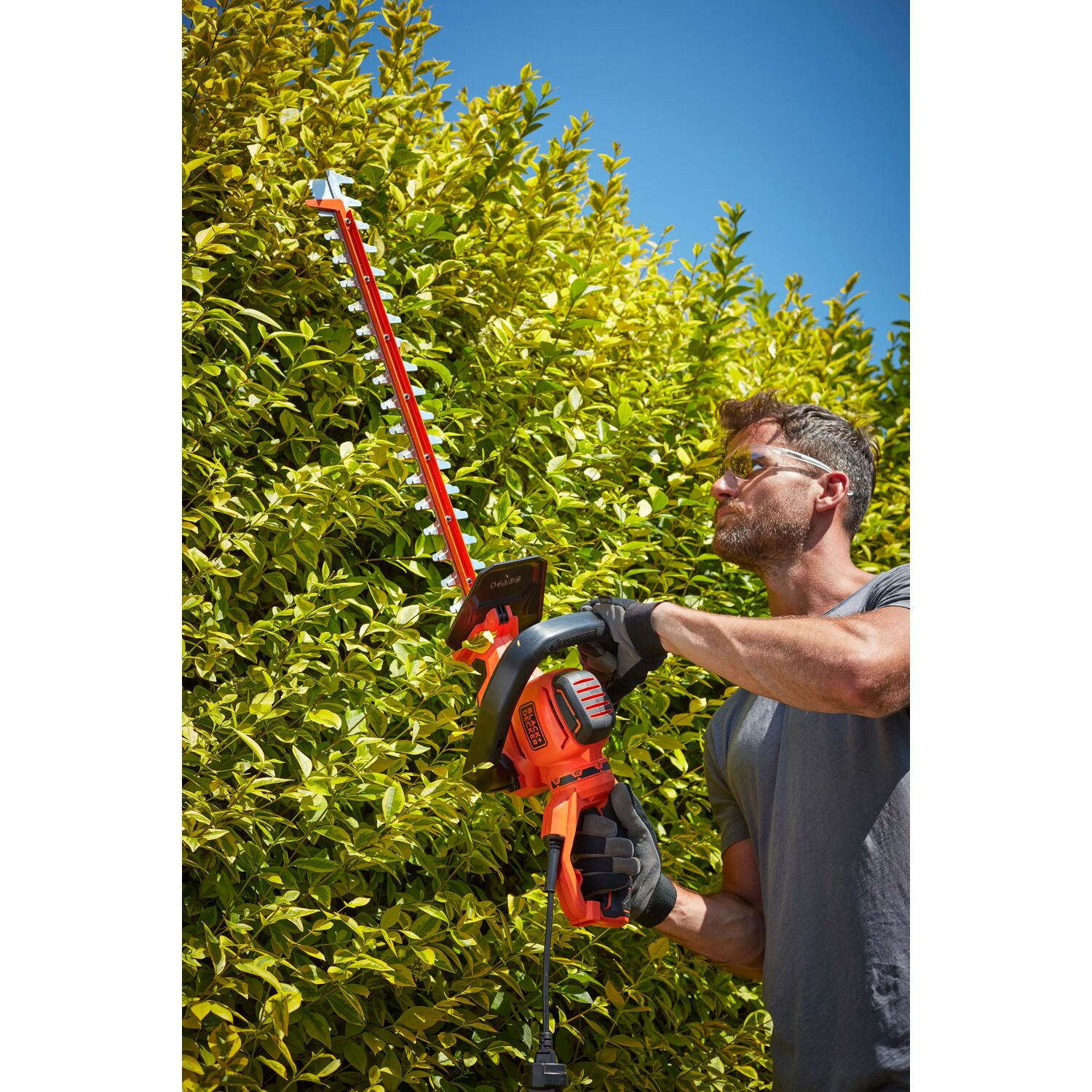 Cortasetos eléctrico + Sierra Naranja / Negro-5